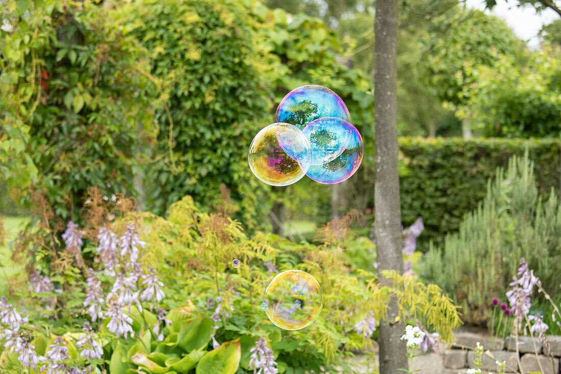 Summer garden - Soap bubbles