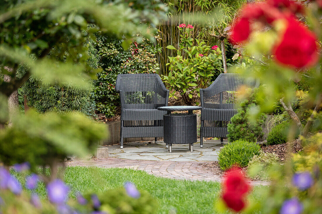 Summer garden - Garden furniture in ambience