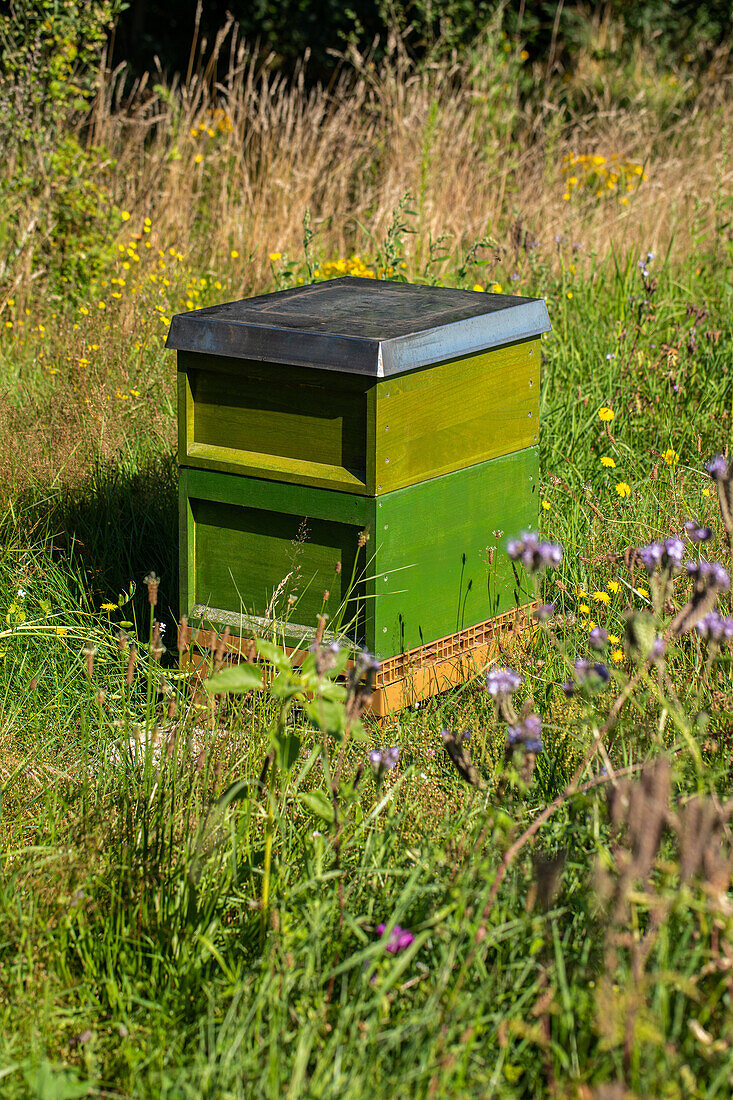 Beehive in the garden