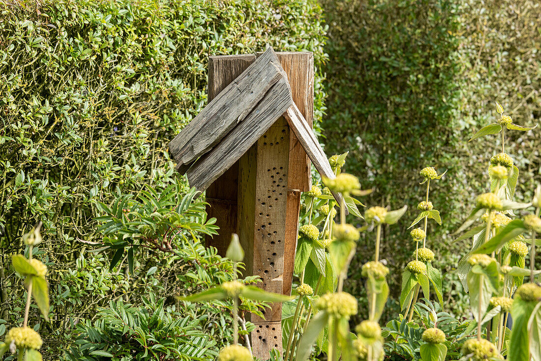 Summer garden - Insect hotel