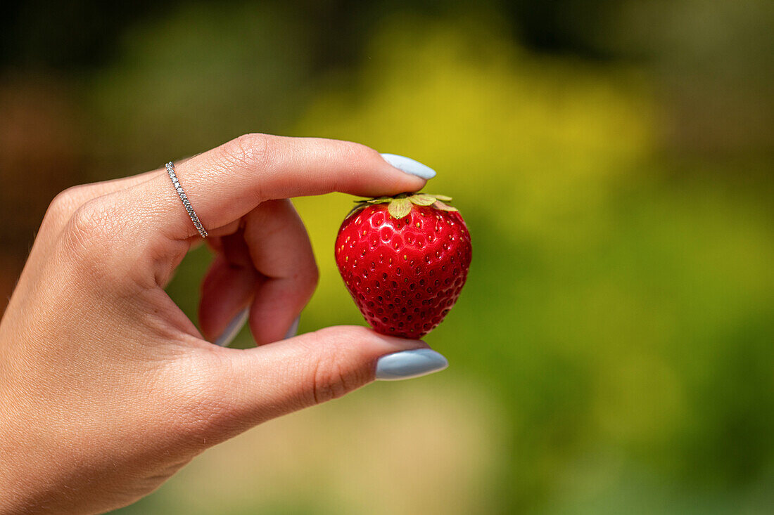 Strawberry