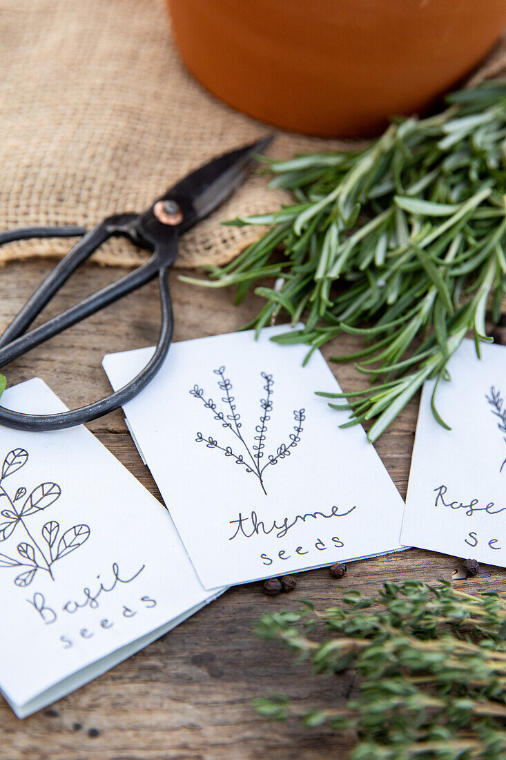 Herb seeds and herbs