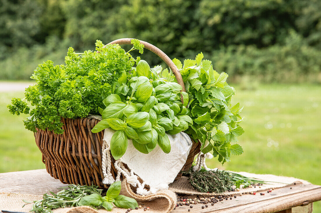 Basket with various herbs