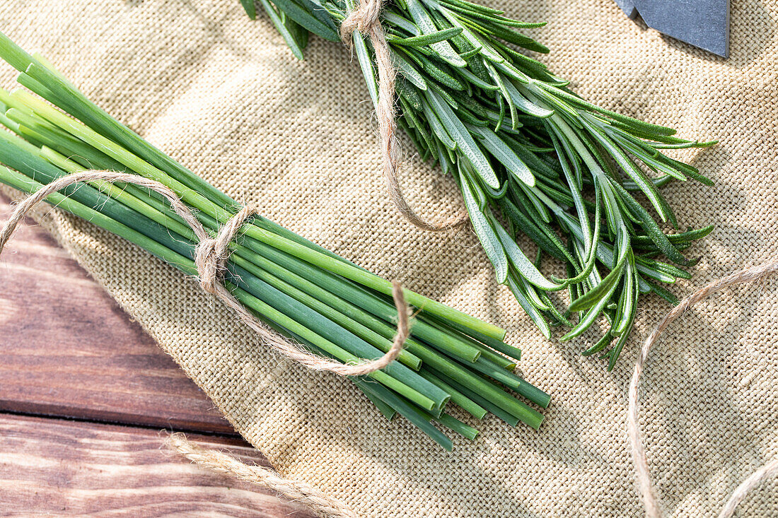 Herbs in a bundle