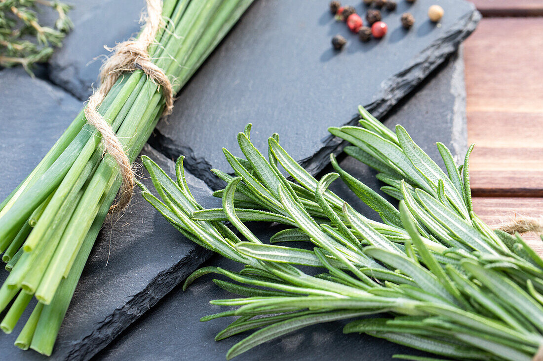 Herbs in bunches