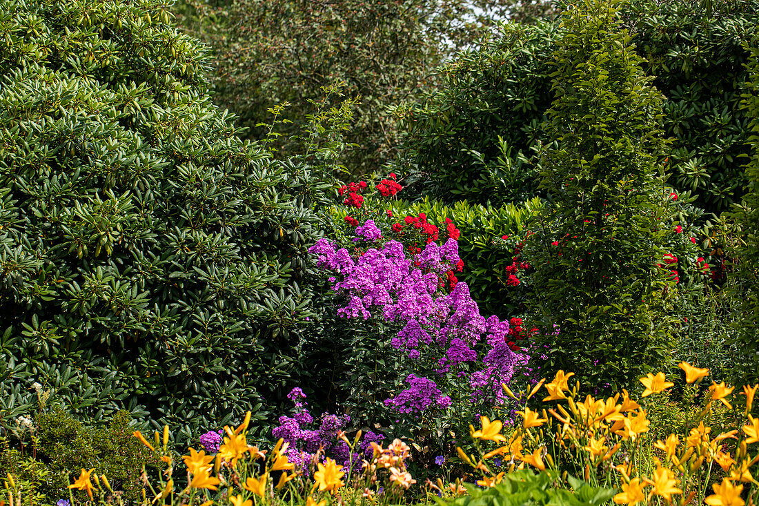 Herbaceous border with woody plants