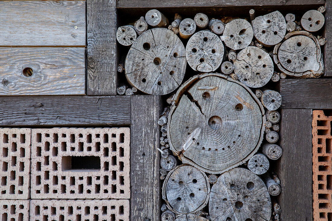 Insect hotel