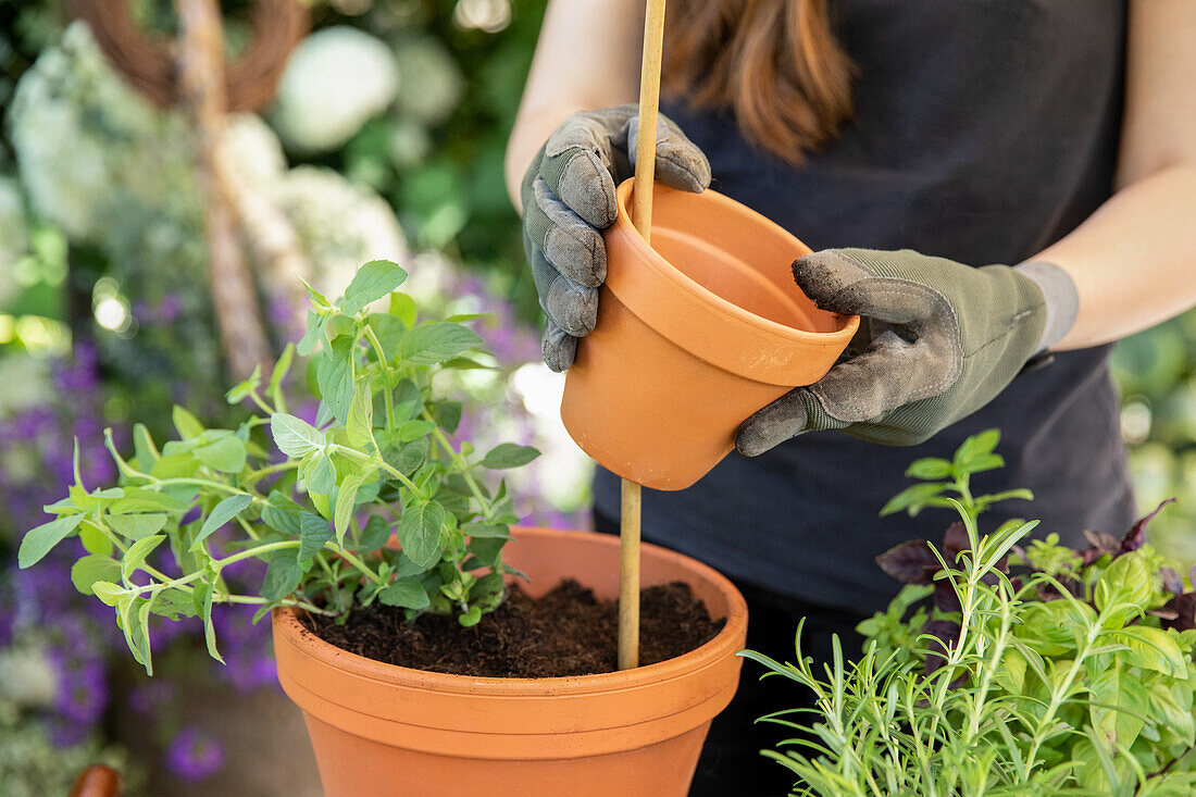 Herb tower - Slide pot onto bamboo stick