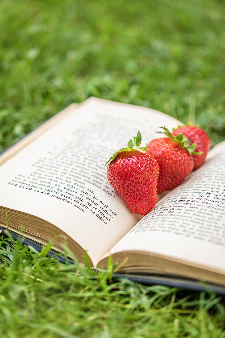 Erdbeeren im Ambiente