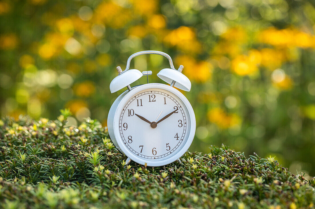 Opening hours - Alarm clock
