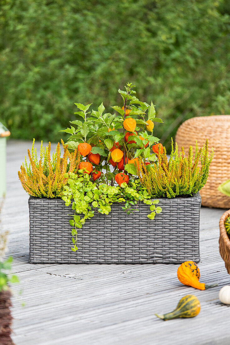 Balkonkasten im Herbst - Ambiente