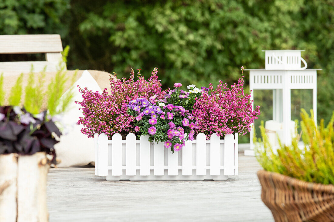 Balcony box in ambience