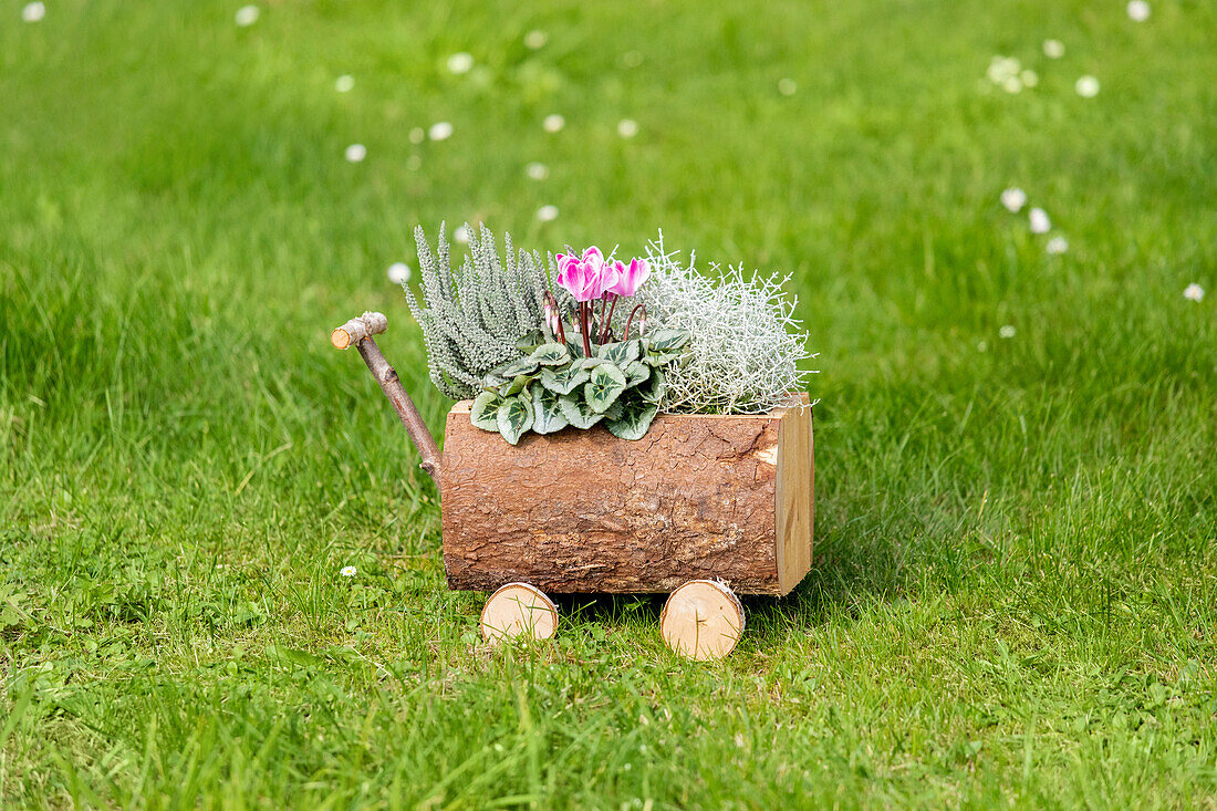 Planter in wood in ambience