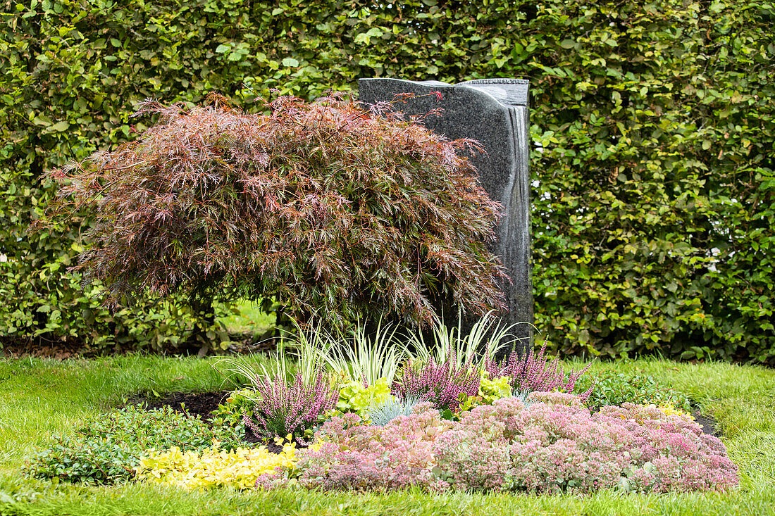 Autumn grave planting