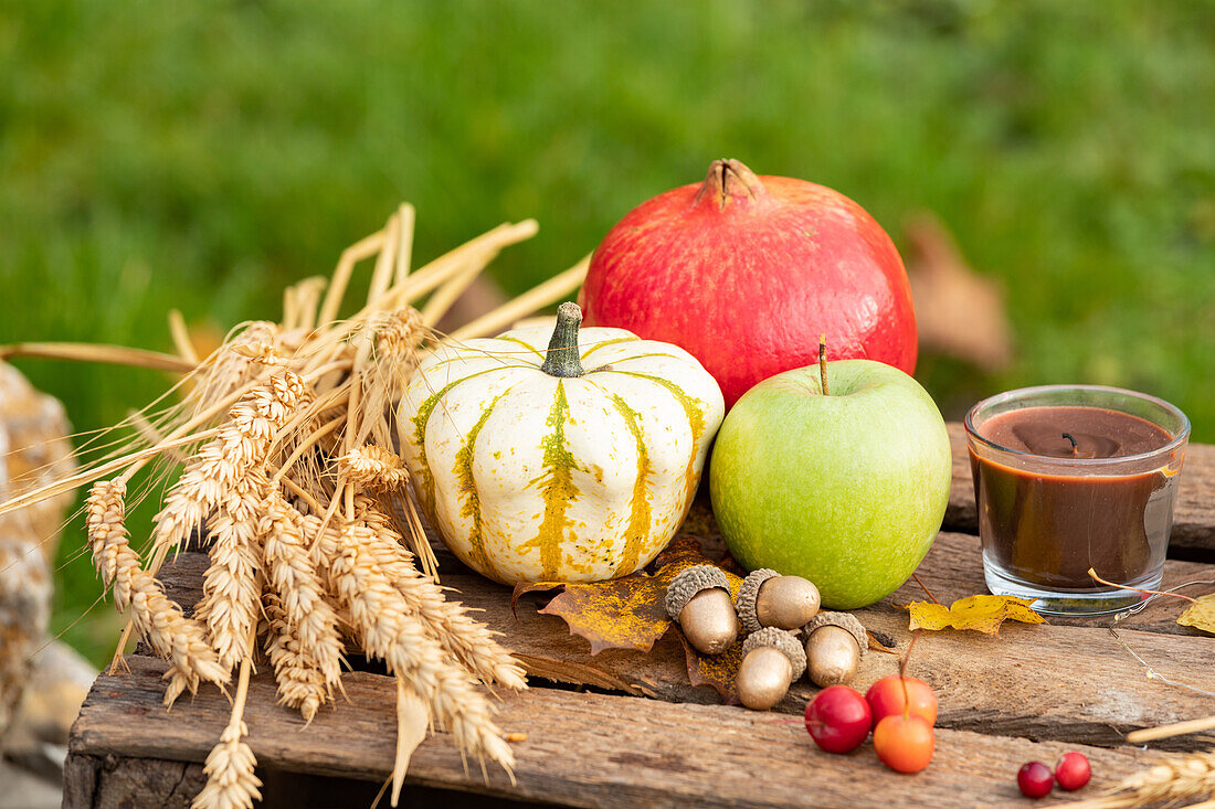 Autumn decoration