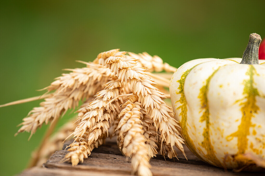 Herbstliche Dekoration