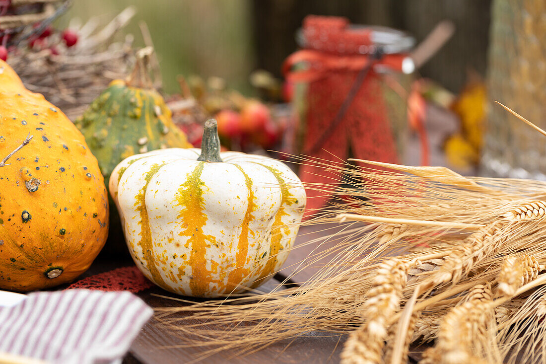 Herbstliche Dekoration mit Kürbissen