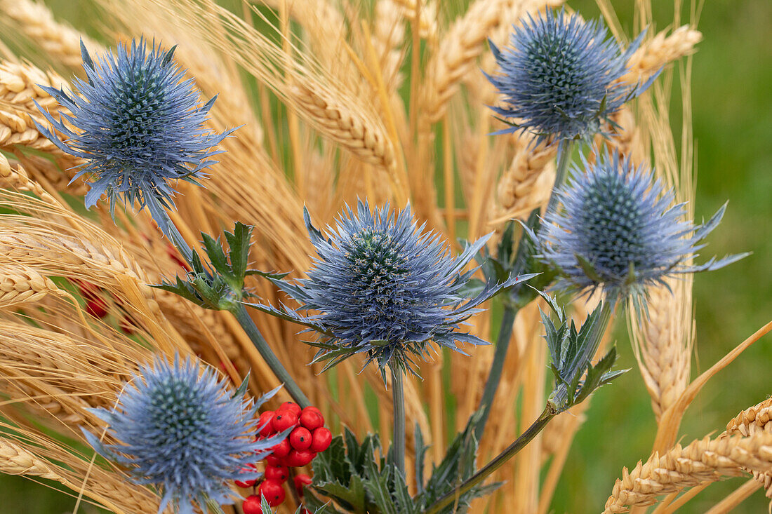 Autumn decoration