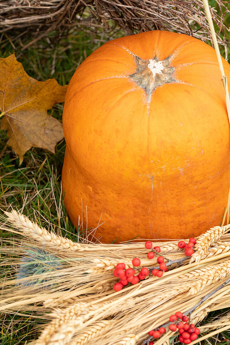 Herbstliche Dekoration mit Kürbissen