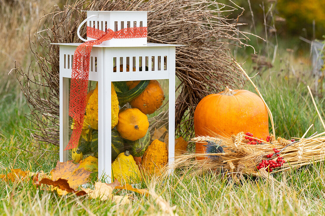 Herbstliche Dekoration mit Kürbissen