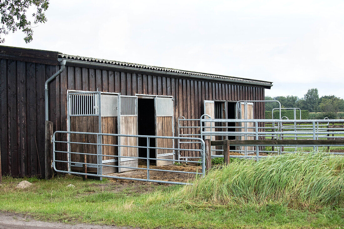 Horse stable