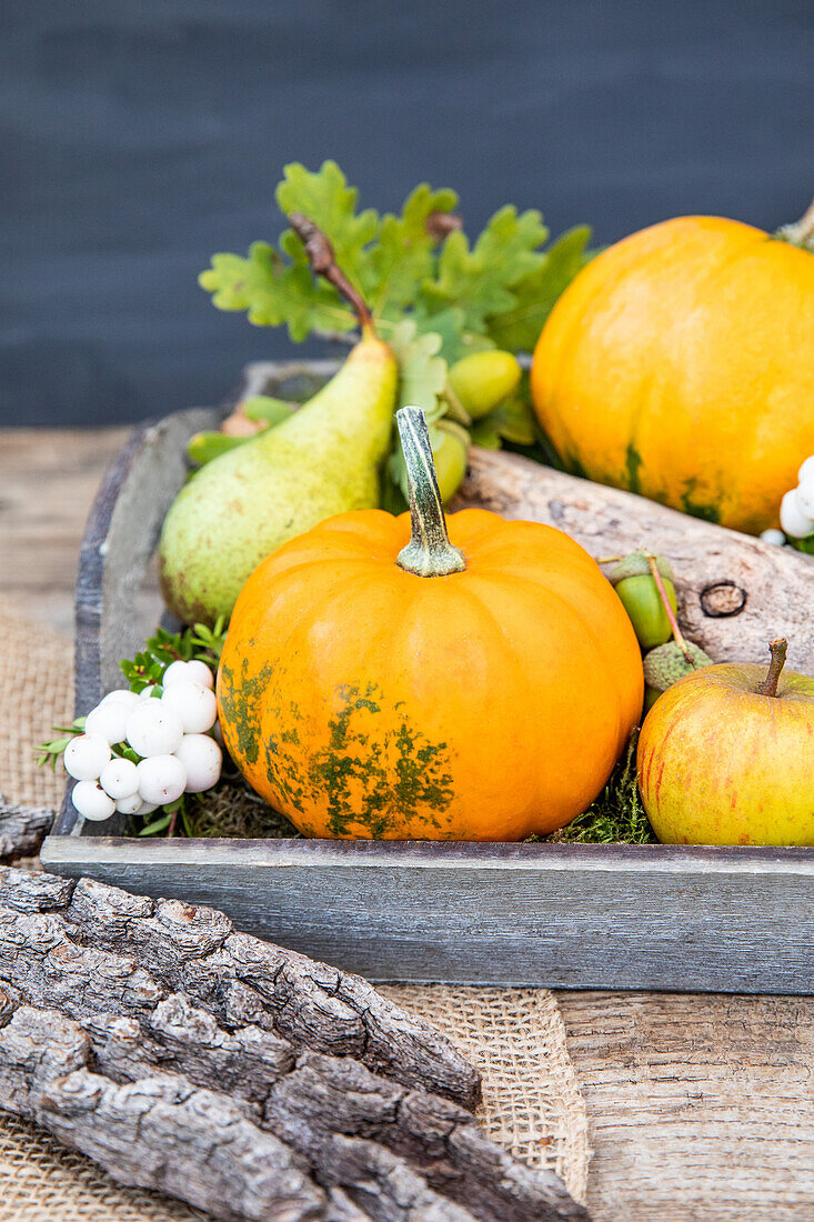 Herbstdeko - Kürbis auf einem Tablett