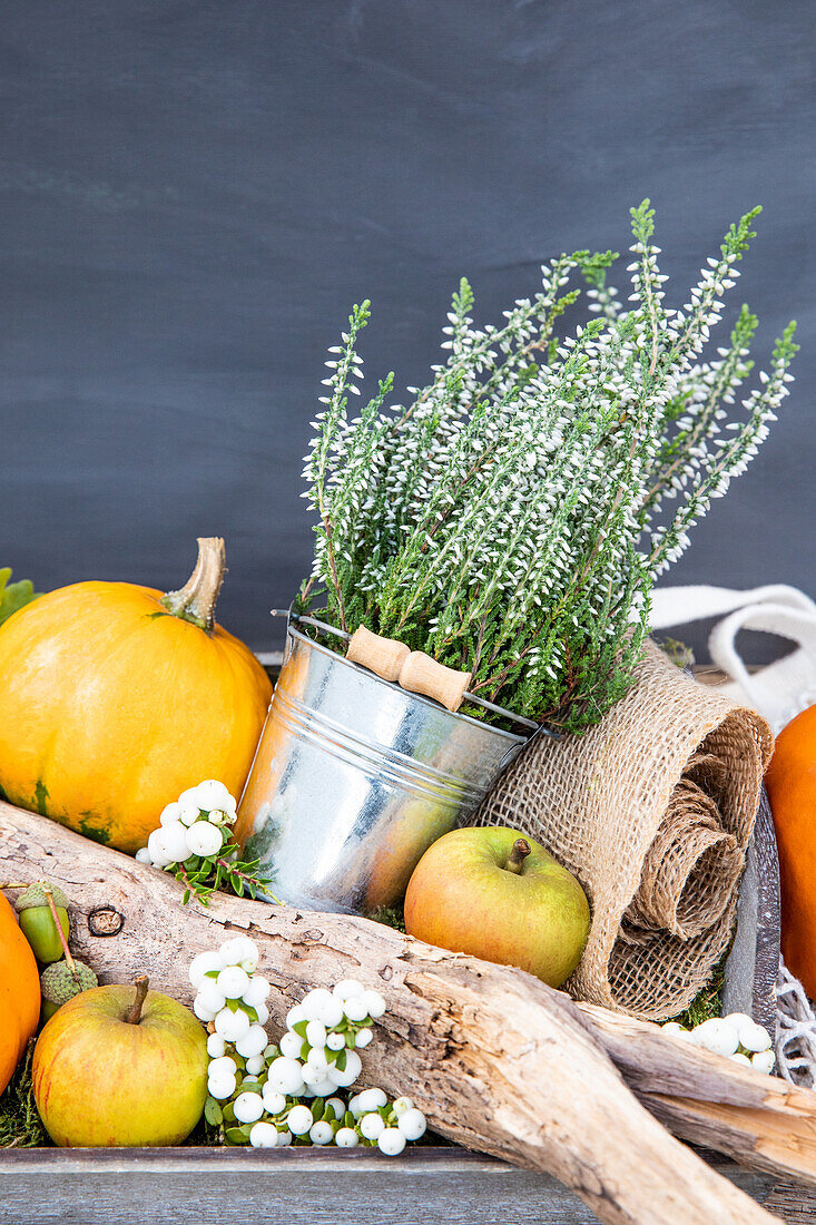 Herbstdeko - Kürbis, Apfel und Heide