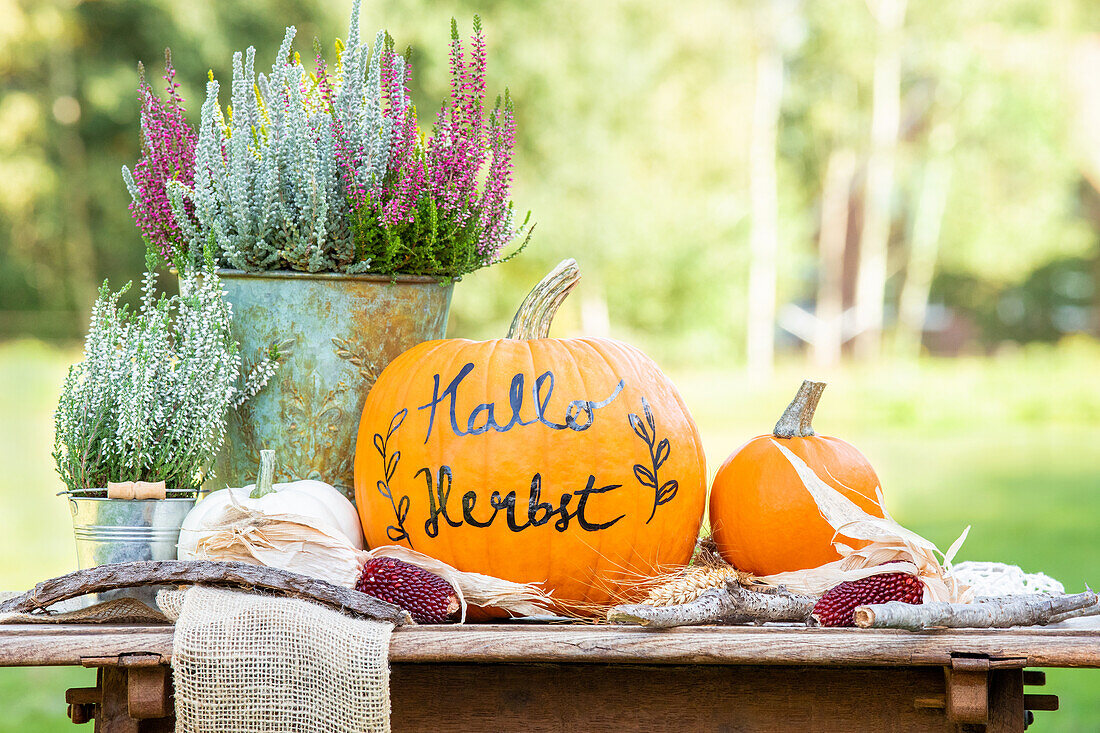Autumn decoration - pumpkins and heather