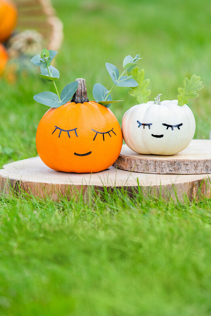 Autumn decoration - Painted pumpkins