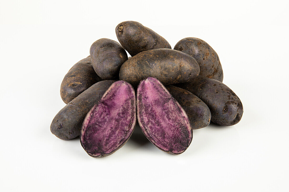 Solanum tuberosum Black Eye