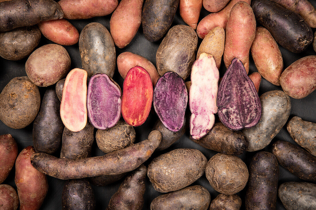 verschiedene Sorten Kartoffeln angeschnitten 