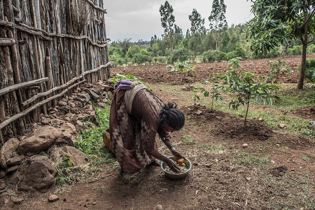 Ethiopian woman washing fruit