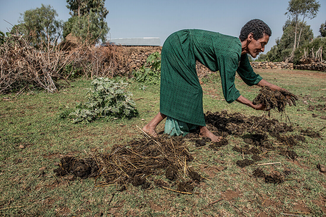 Ethiopian woman drying dung