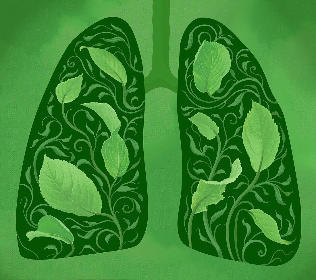 Leafy lungs, conceptual illustration