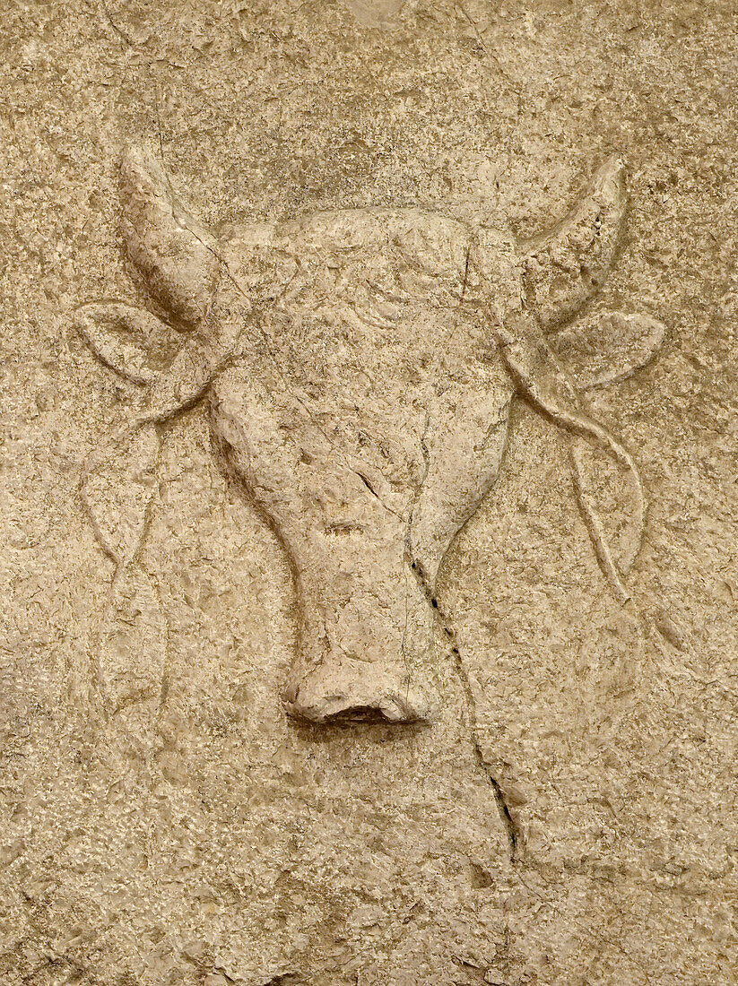 Memorial Bucranium carved relief
