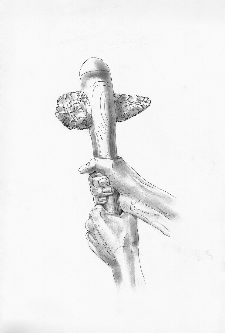 Neolithic flint axe, illustration