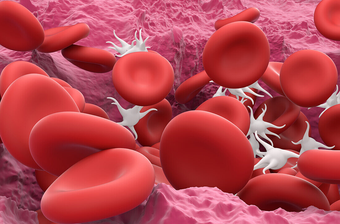 Blood clot formation, illustration