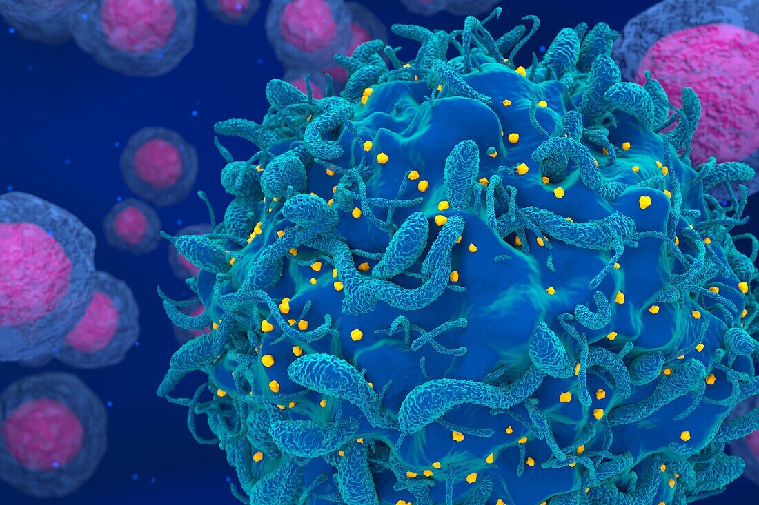 Cell infected with HIV, illustration