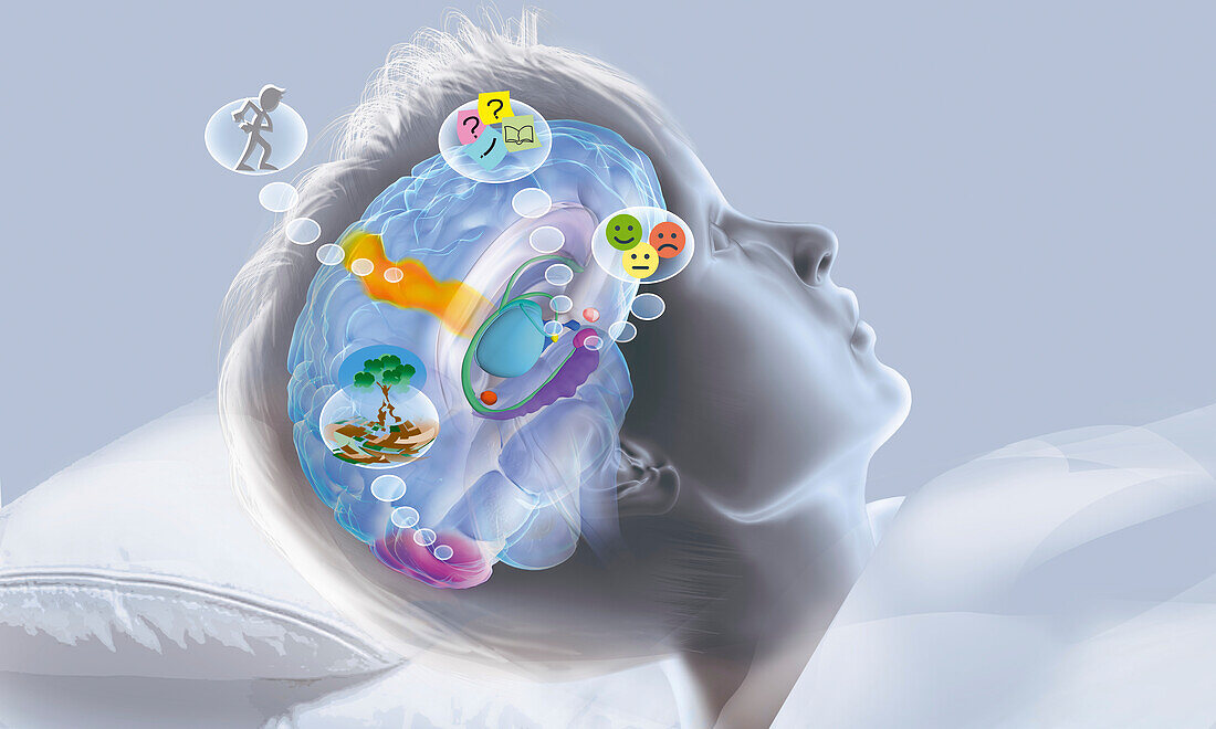 Brain activity during dreaming, illustration