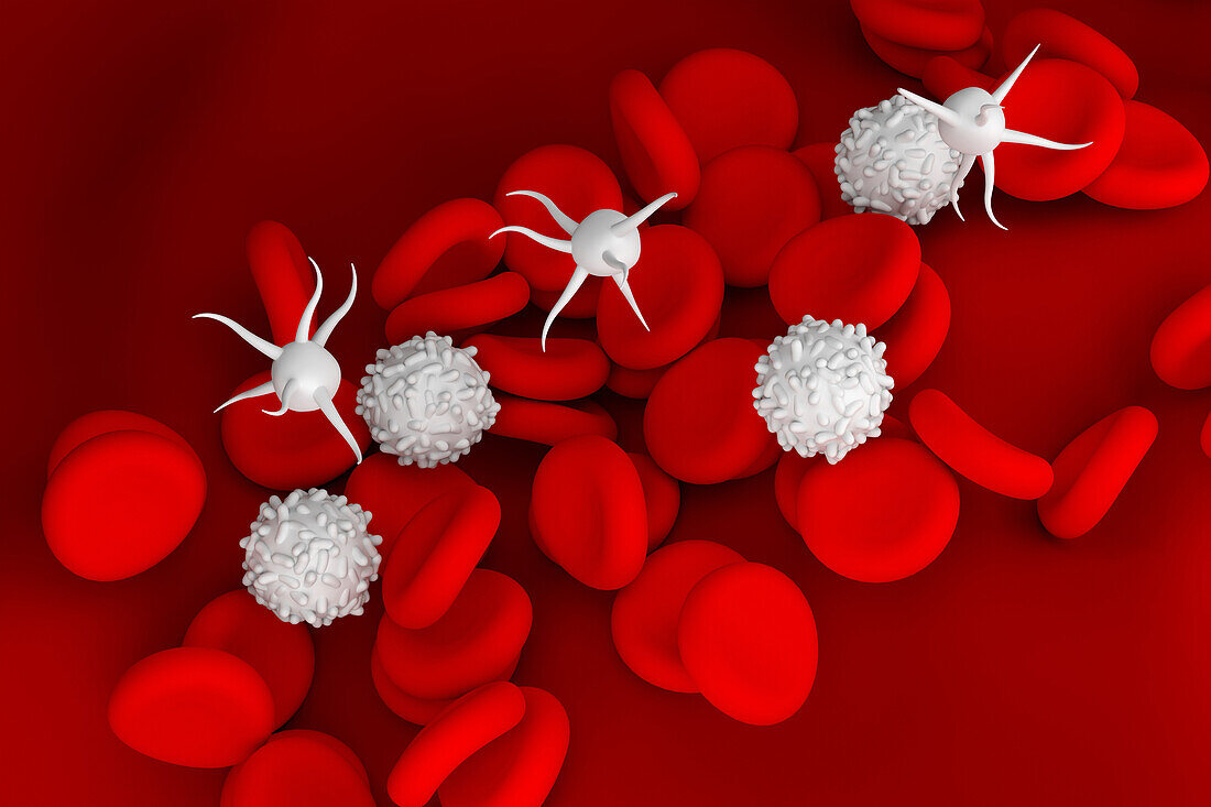 Red blood cells and platelets, illustration