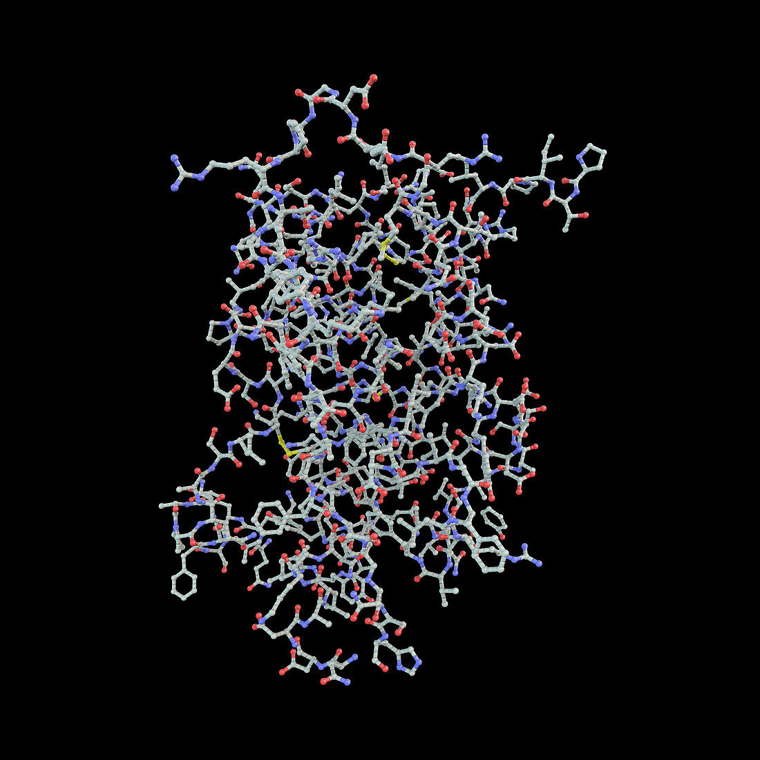 Human growth hormone molecule, illustration