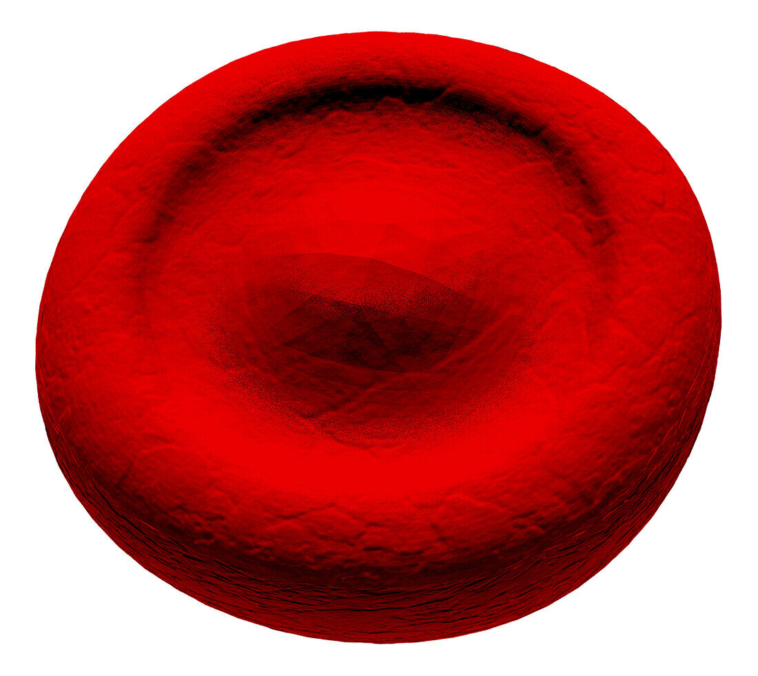 Target cell abnormal red blood cell, illustration