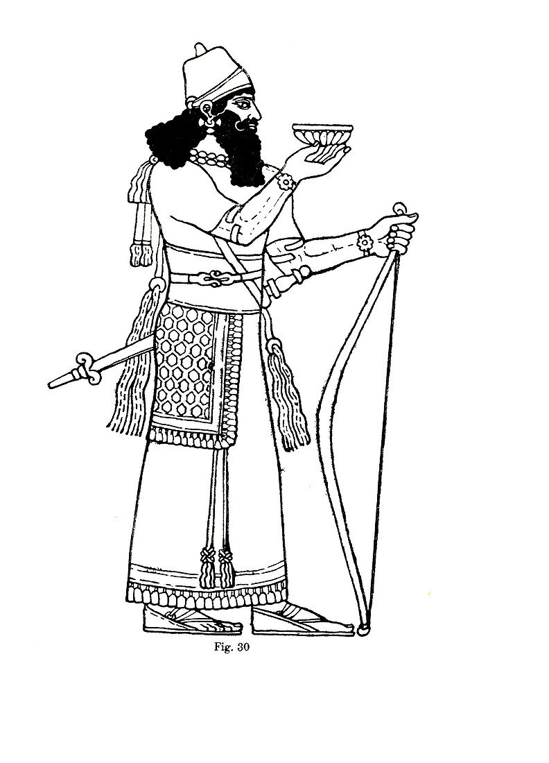 King Assur-nasir-pal, illustration