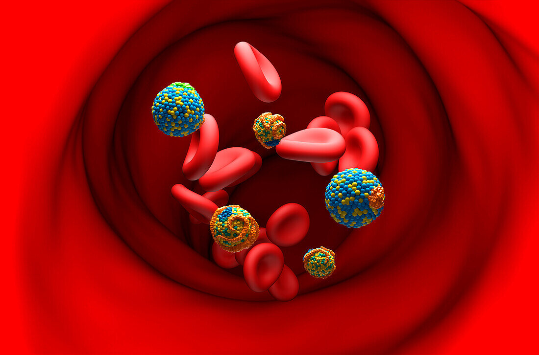 High and low density lipoproteins, illustration