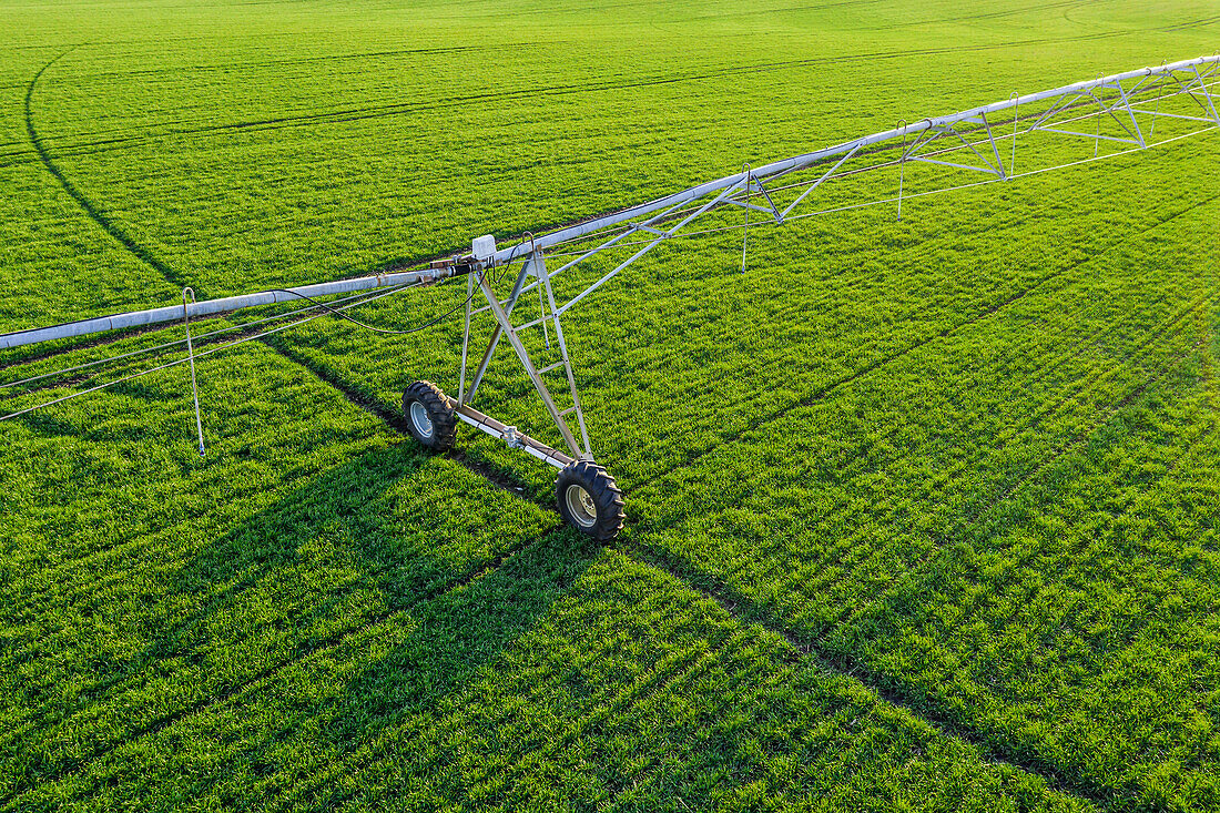 Aerial view of centre-pivot irrigation sprinkler in field