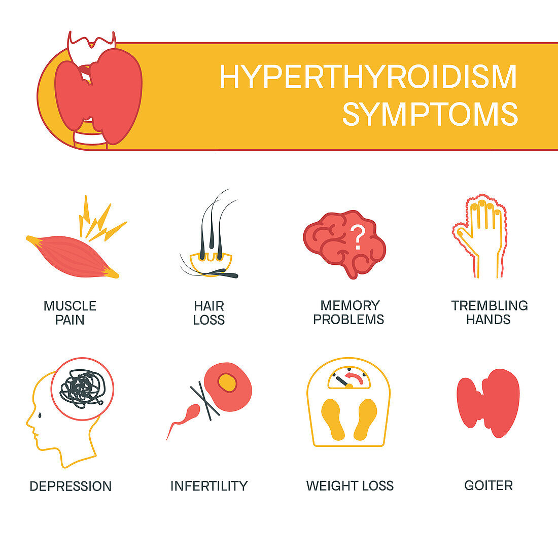 Hyperthyroidism, conceptual illustration