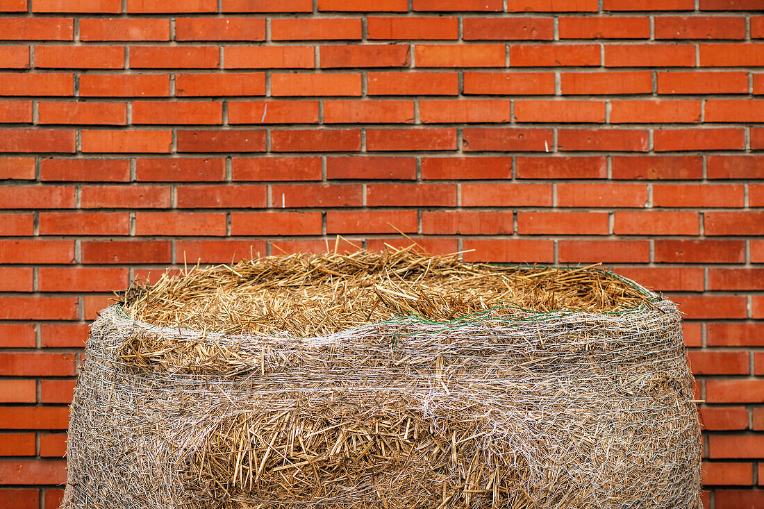 Hay bale against brick wall