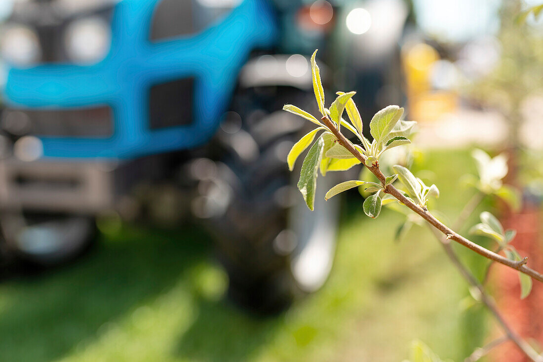 Agricultural tractor in apple orchard