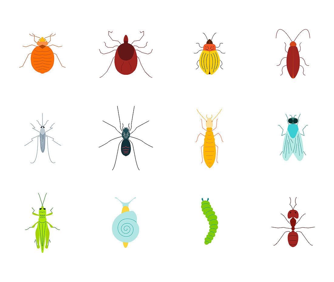 Pests, conceptual illustration