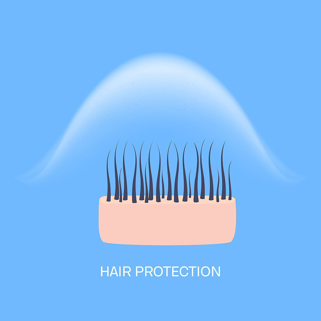 Hair protection, conceptual illustration